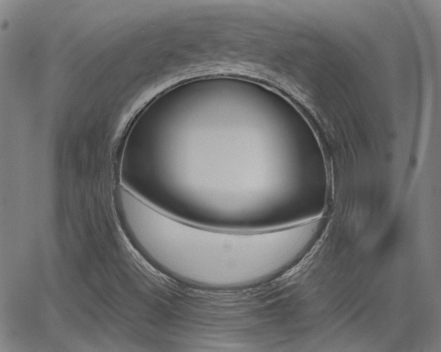 X0000064061500200601270920
