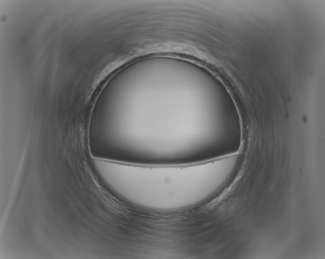 X0000064061505200601270920