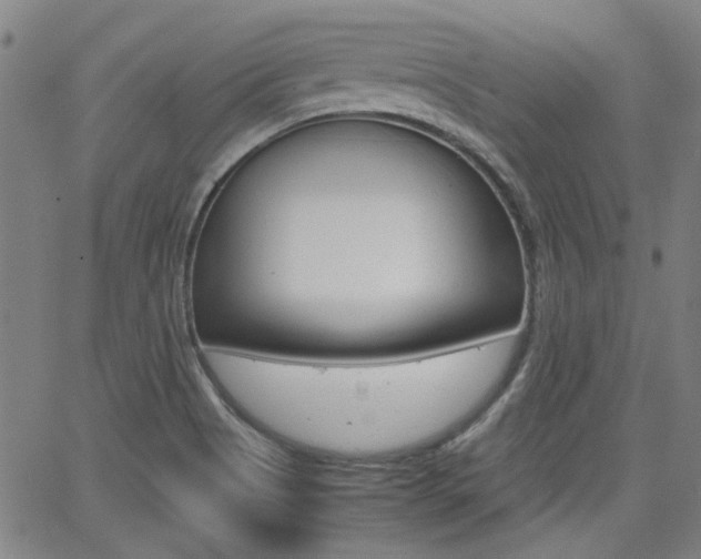 X0000064061513200601270920