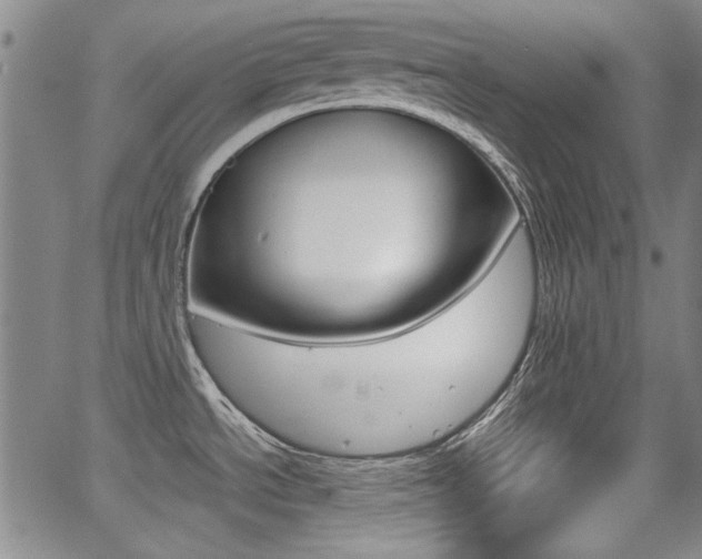 X0000064061534200601270921