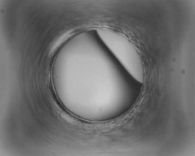 X0000064060005200601271304