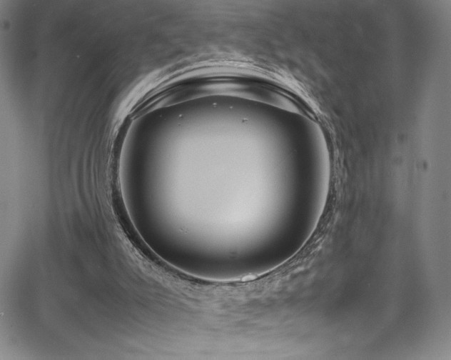 X0000064060007200601271304
