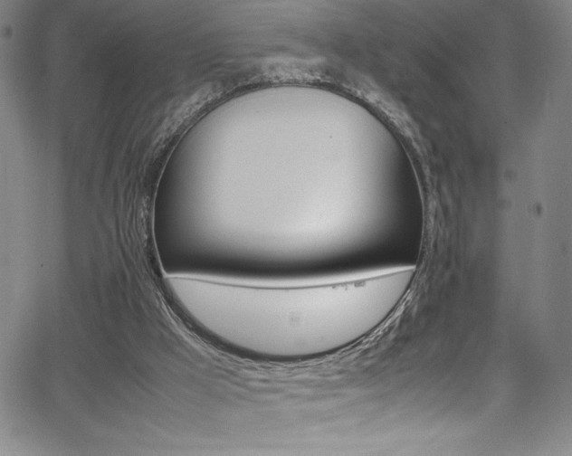 X0000064060009200601271304