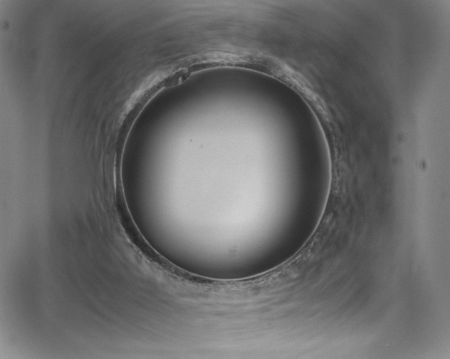 X0000064060011200601271304