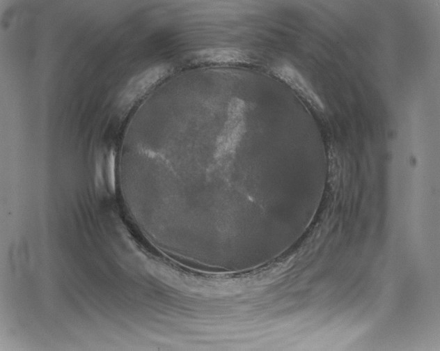 X0000064060014200601271304