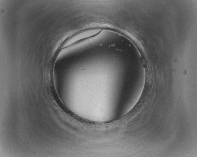 X0000064060015200601271304