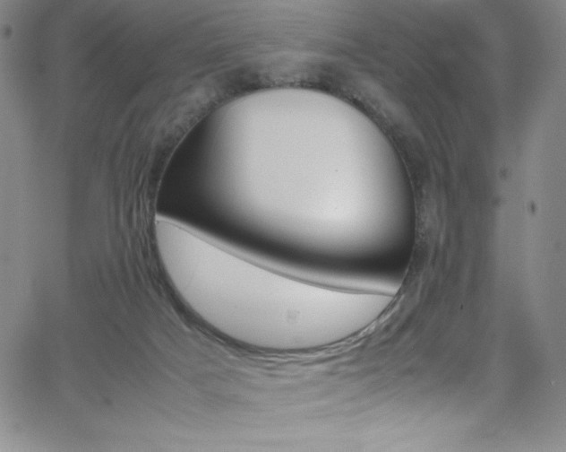 X0000064060025200601271303