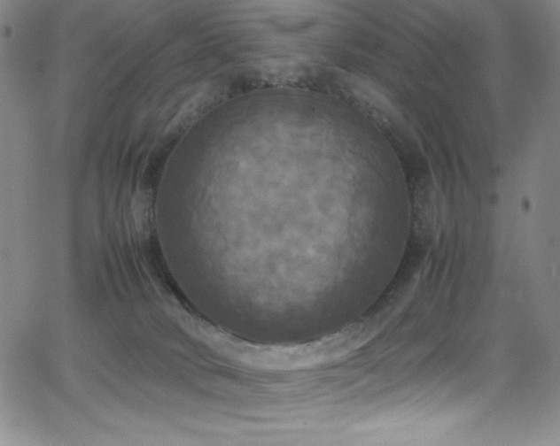 X0000064060034200601271303