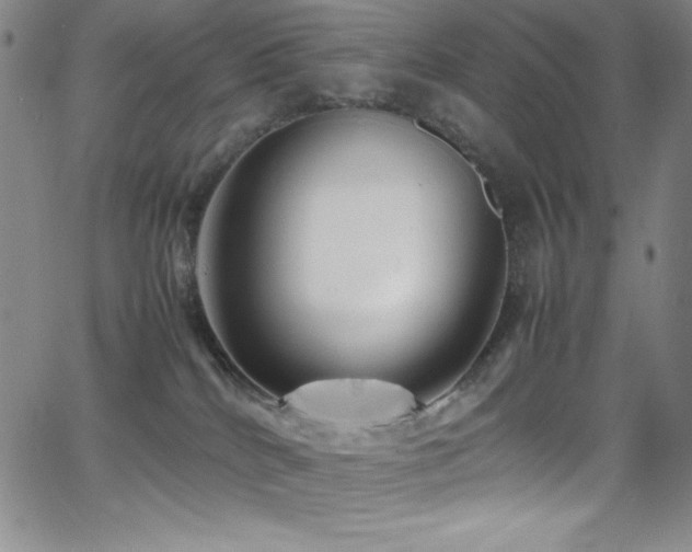 X0000064060040200601271303