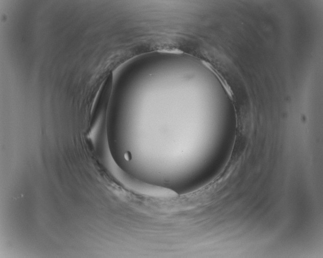 X0000064060041200601271303