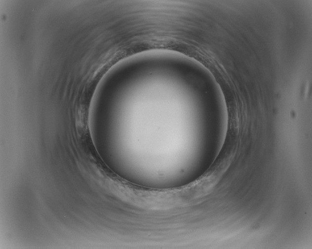 X0000064060044200601271303