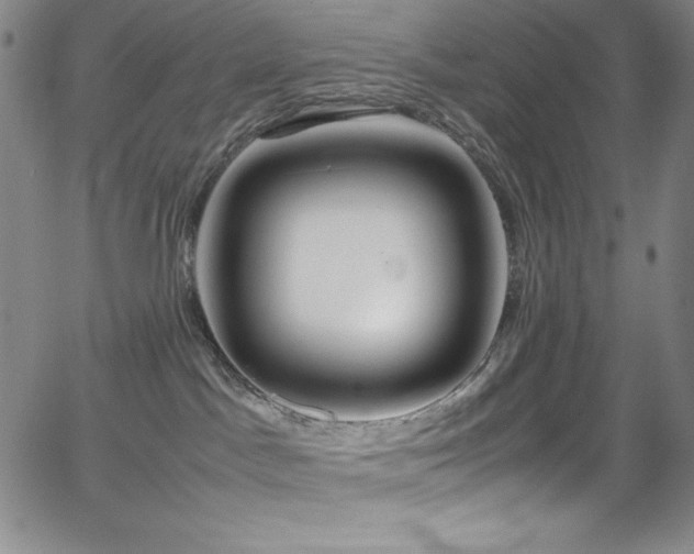 X0000064060045200601271303