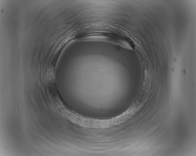 X0000064060048200601271303