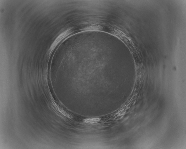 X0000064060051200601271302
