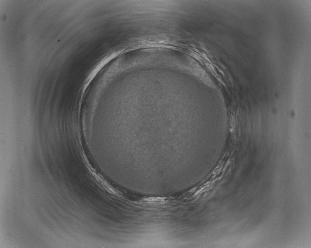 X0000064060052200601271302
