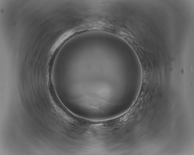 X0000064060054200601271302