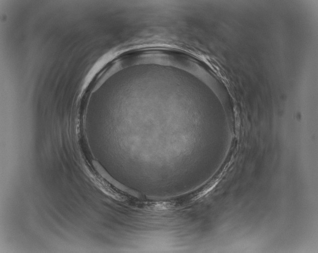 X0000064060056200601271302
