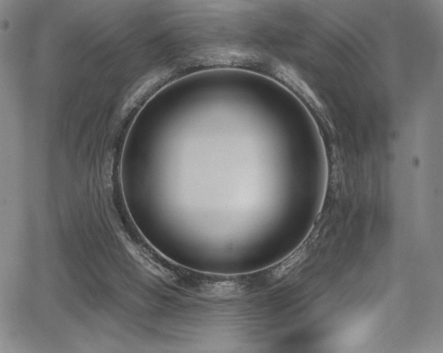 X0000064060058200601271302