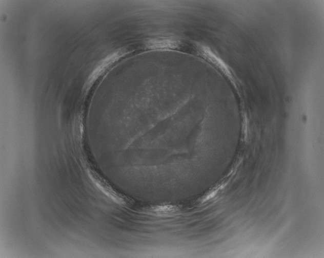 X0000064060059200601271302