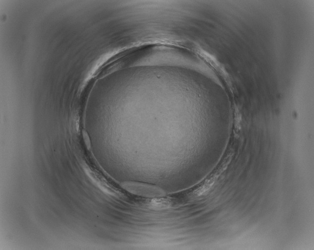 X0000064060060200601271302