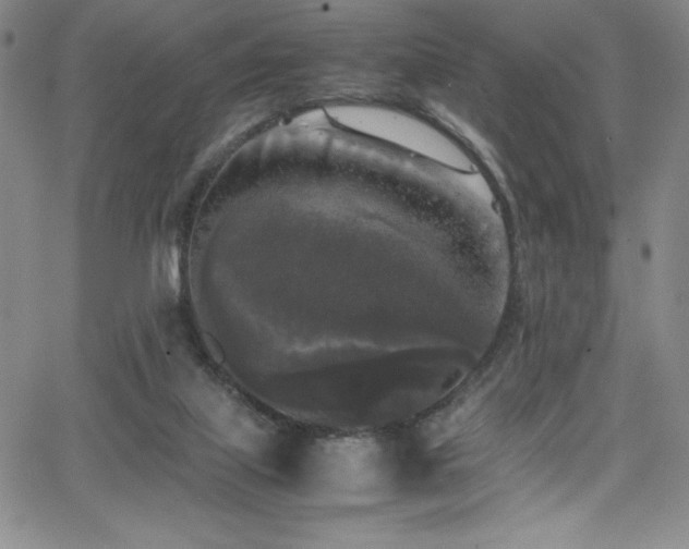 X0000064060067200601271303