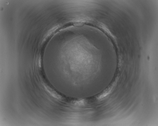 X0000064060068200601271303