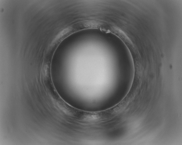 X0000064060071200601271303