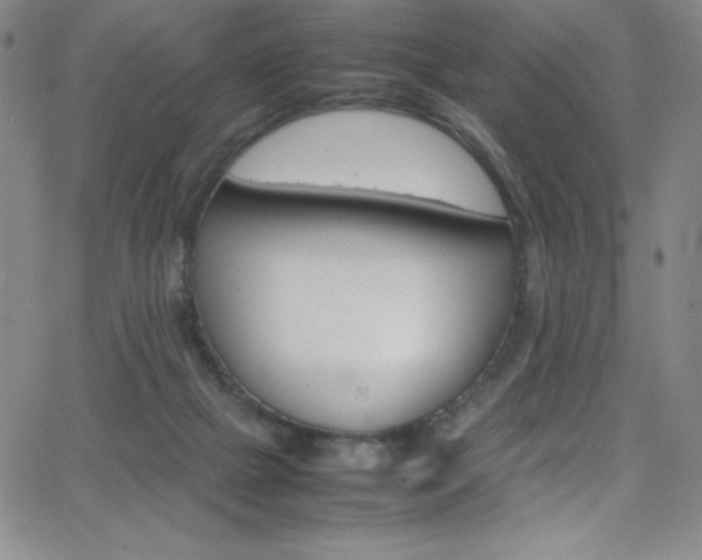 X0000064060073200601271303