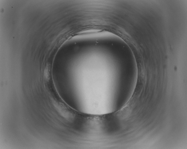 X0000064060074200601271303