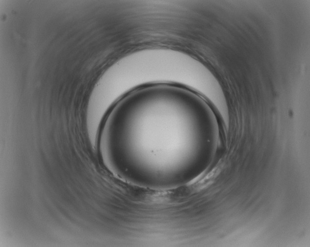 X0000064060078200601271303