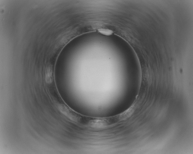 X0000064060082200601271303