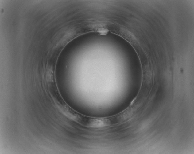 X0000064060083200601271303