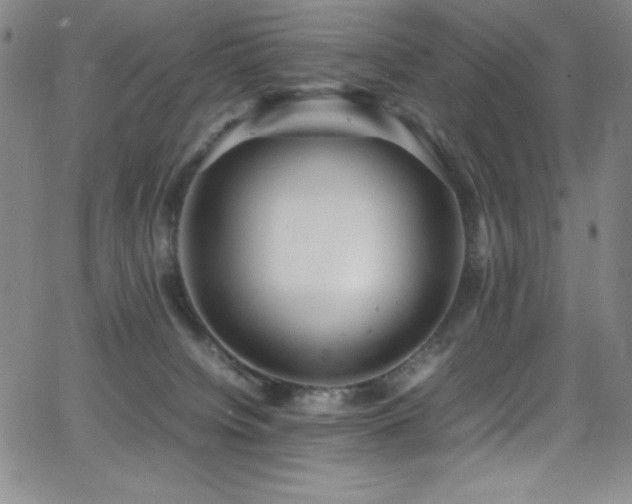 X0000064060084200601271303