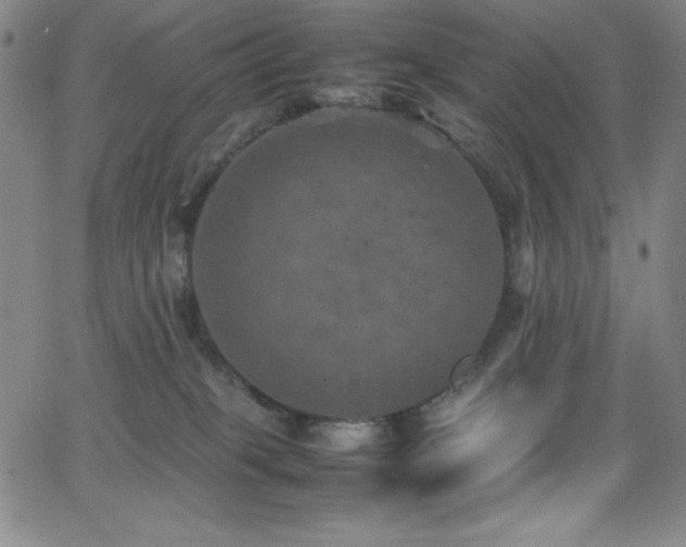 X0000064060085200601271303