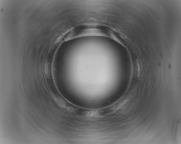 X0000064060088200601271303