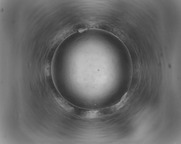 X0000064060090200601271303