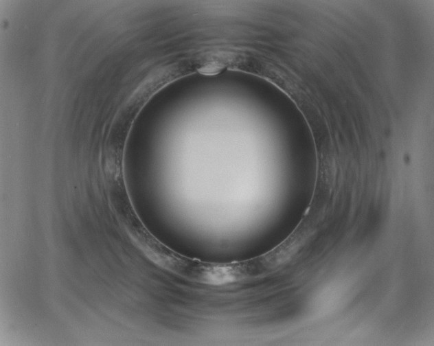X0000064060091200601271303