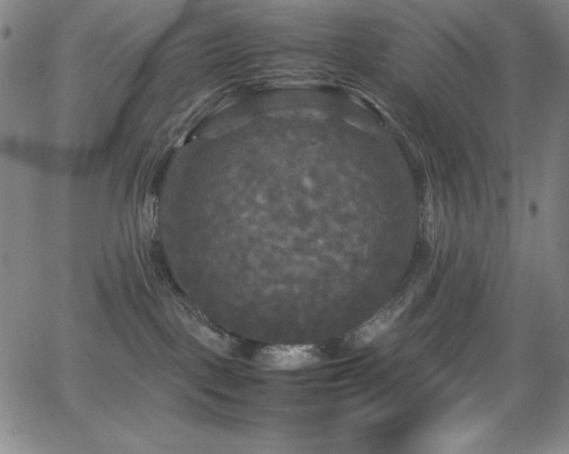 X0000064060093200601271303