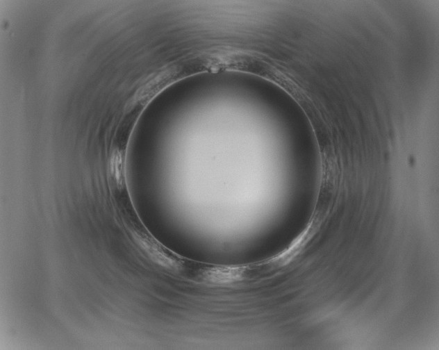 X0000064060094200601271303