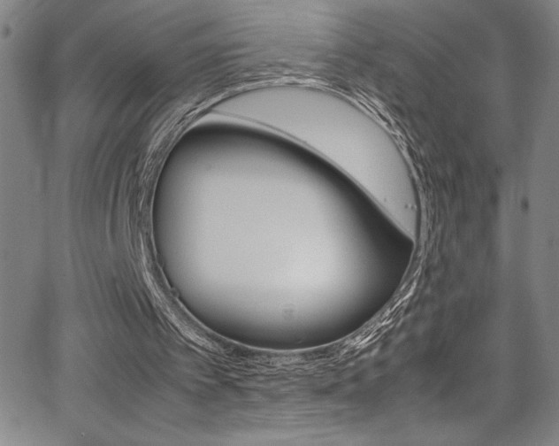 X0000064060097200601271302