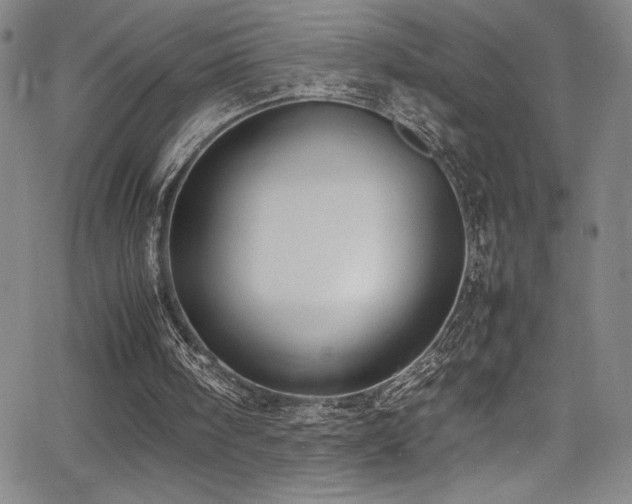 X0000064060098200601271302