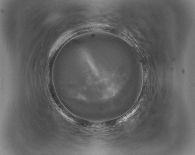 X0000064060101200601271302
