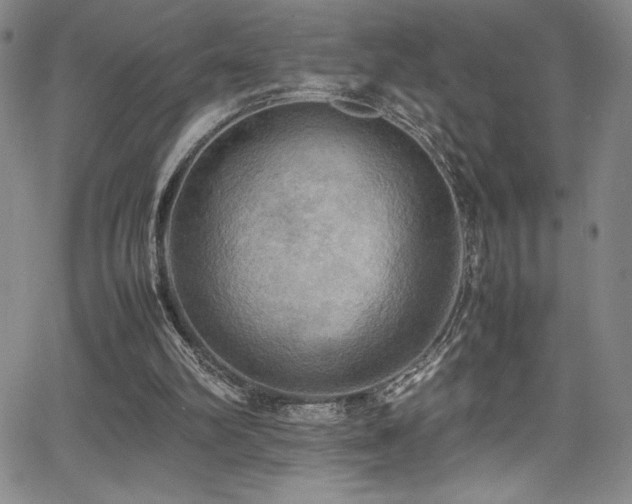 X0000064060102200601271302