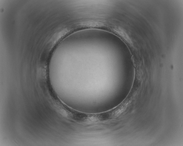 X0000064060111200601271302