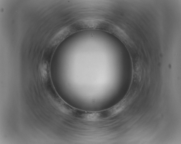 X0000064060122200601271302