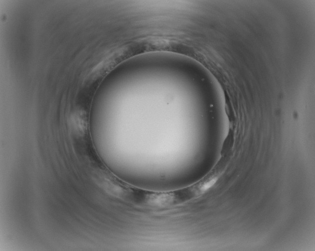 X0000064060135200601271302