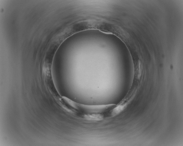 X0000064060137200601271302