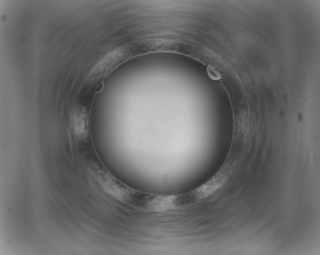 X0000064060138200601271302