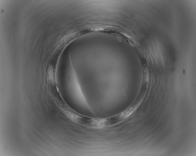 X0000064060143200601271301