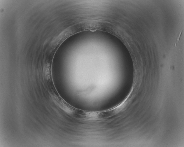 X0000064060144200601271301